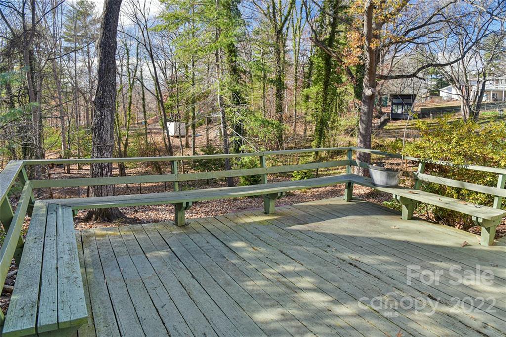 236 Richmond Hill Drive Asheville NC 28806