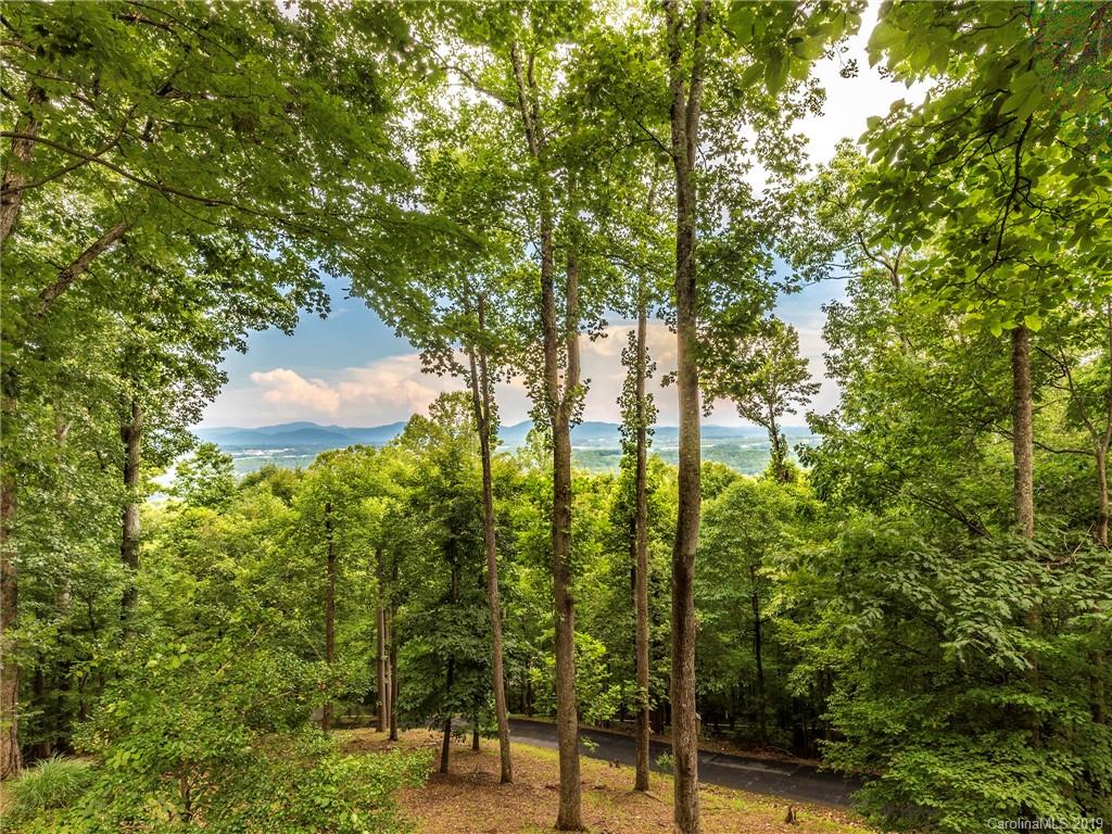 8 Vista Lane Mills River NC 28759