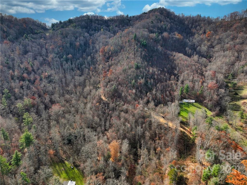 258 Freeman Ridge Drive Marshall NC 28753