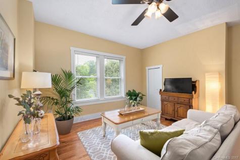 24 Richie Street Asheville NC 28801