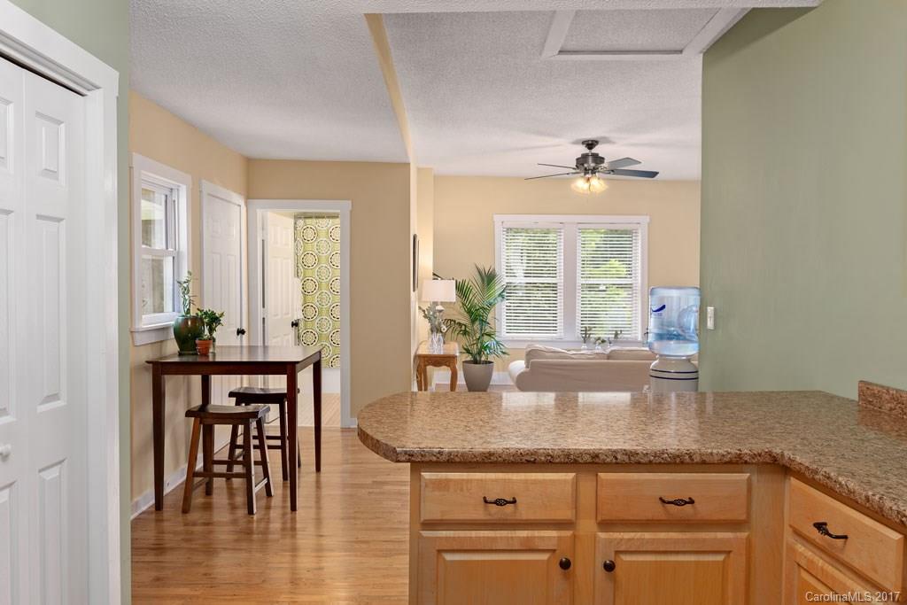 24 Richie Street Asheville NC 28801