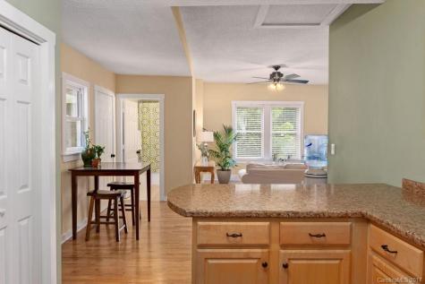 24 Richie Street Asheville NC 28801
