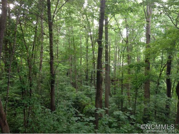 65 Foxberry Drive Arden NC 28704