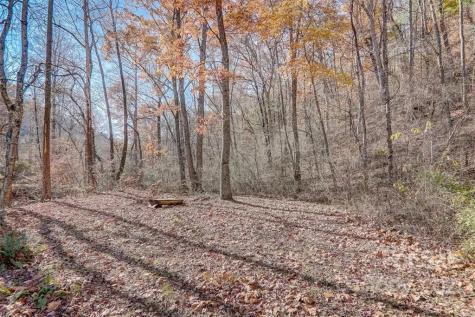 266 Shope Creek Road Asheville NC 28805