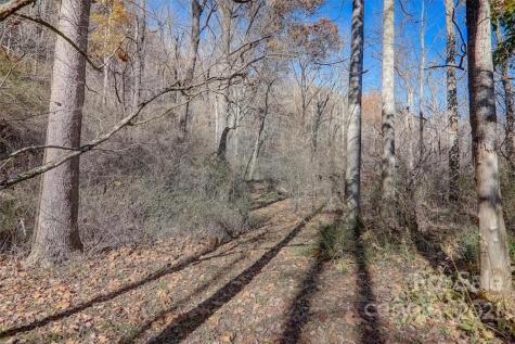 266 Shope Creek Road Asheville NC 28805