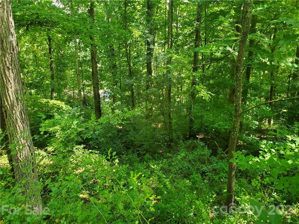 32 Fox Run Waynesville NC 28785