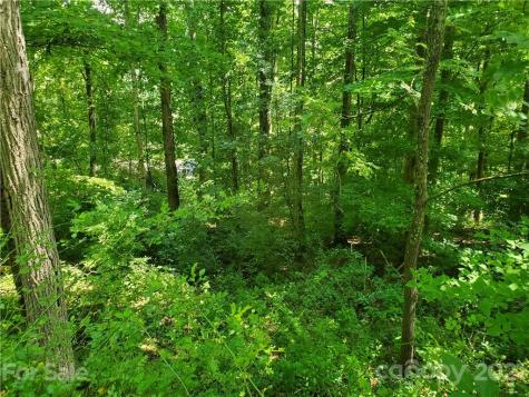 32 Fox Run Waynesville NC 28785