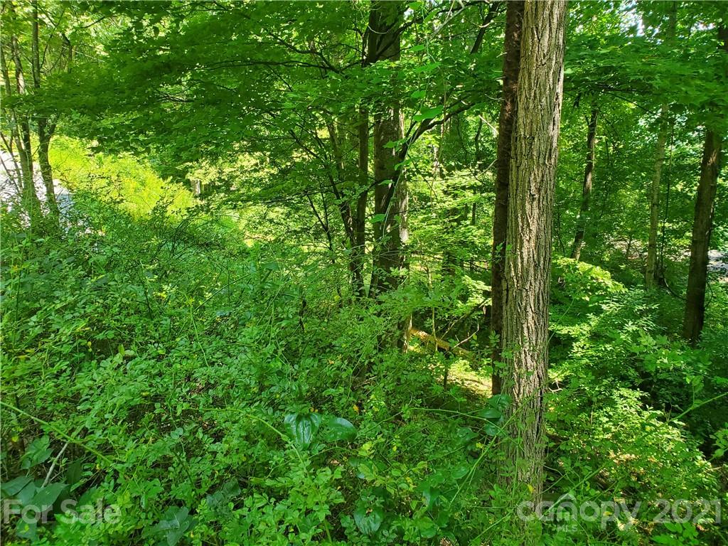 32 Fox Run Waynesville NC 28785