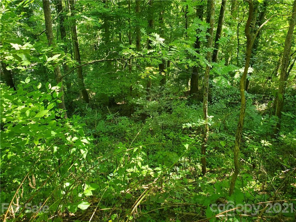 32 Fox Run Waynesville NC 28785