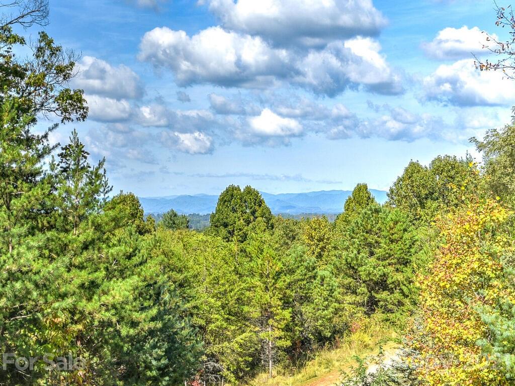 22 Balsamwood Road Leicester NC 28748