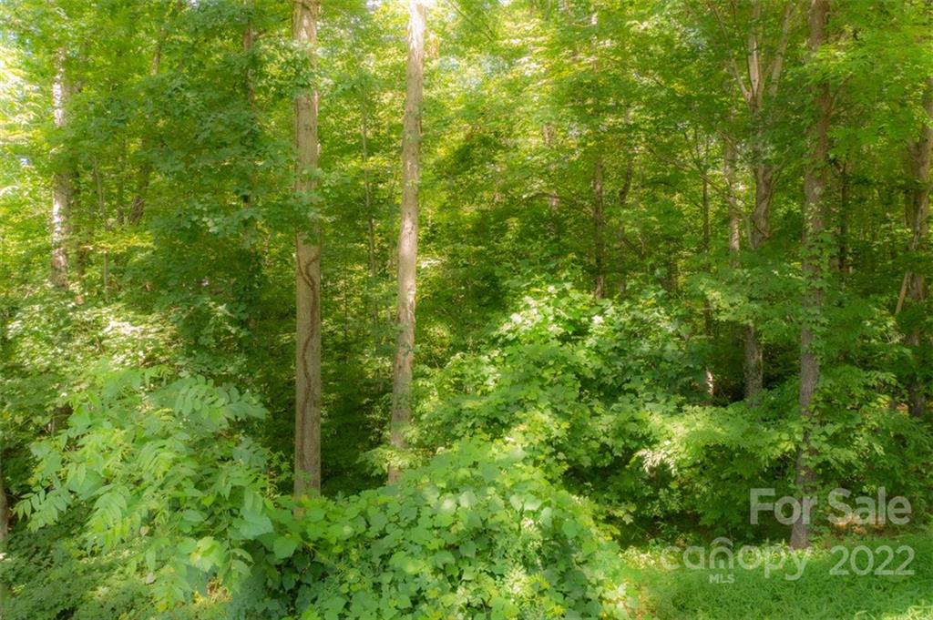 114 Edwards Loop Old Fort NC 28762
