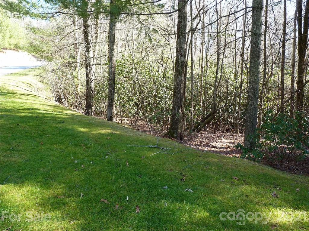 149 Chattooga Run Hendersonville NC 28739