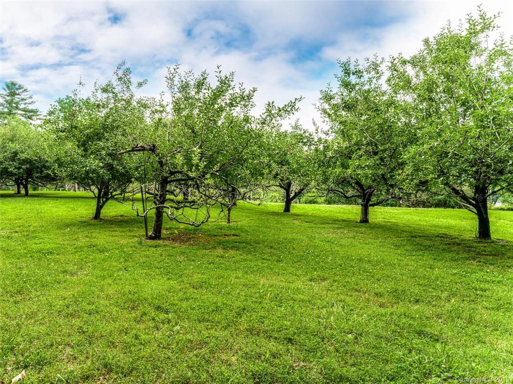 5 Country Spring Drive Asheville NC 28804