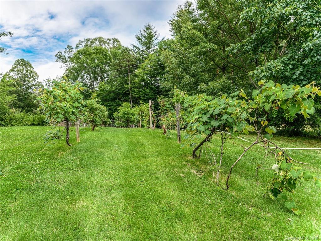 5 Country Spring Drive Asheville NC 28804