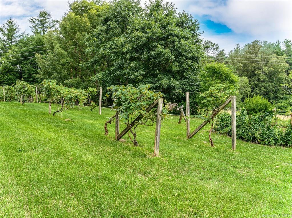 5 Country Spring Drive Asheville NC 28804