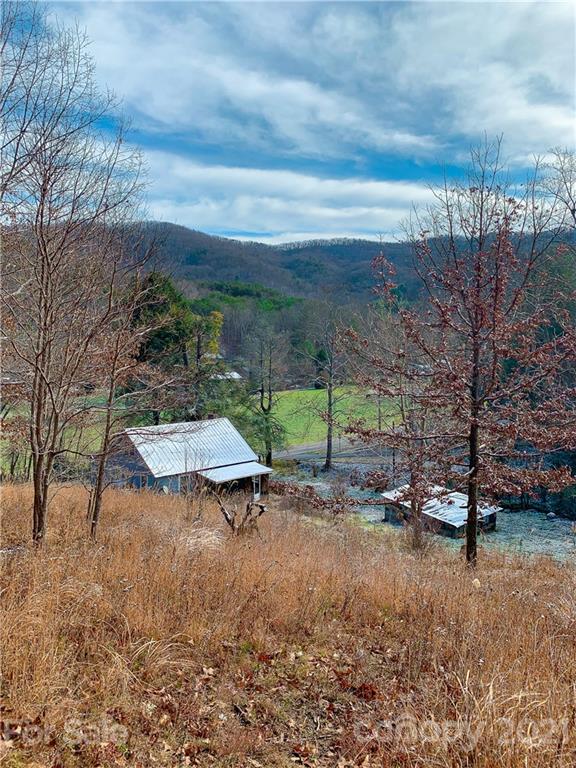 117 Eller Cove Road Weaverville NC 28787