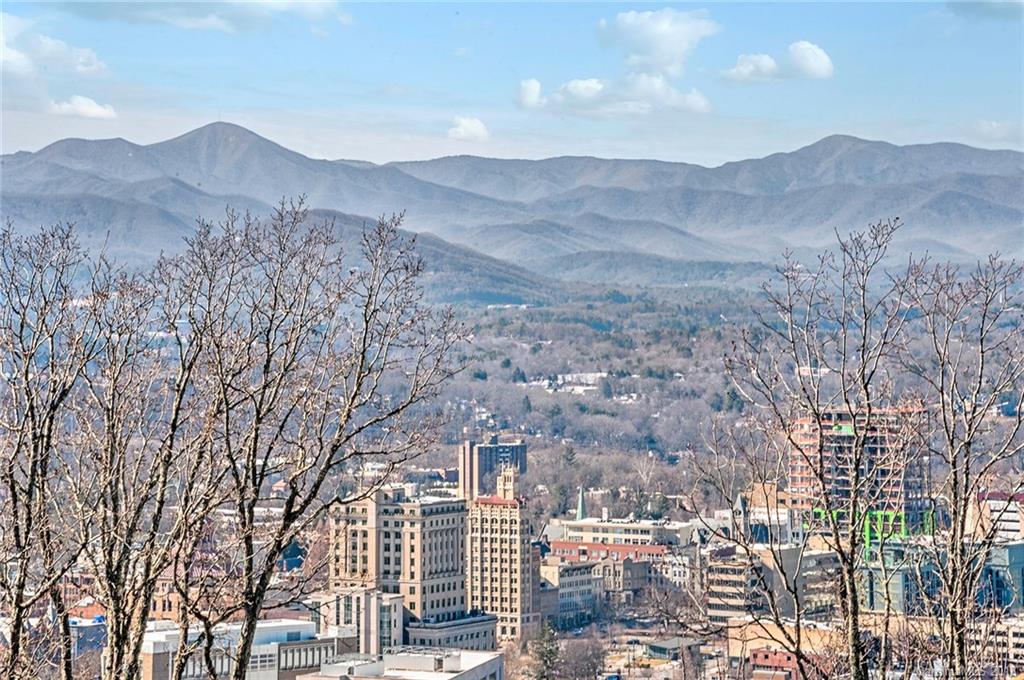 11 Cogswood Road Asheville NC 28804