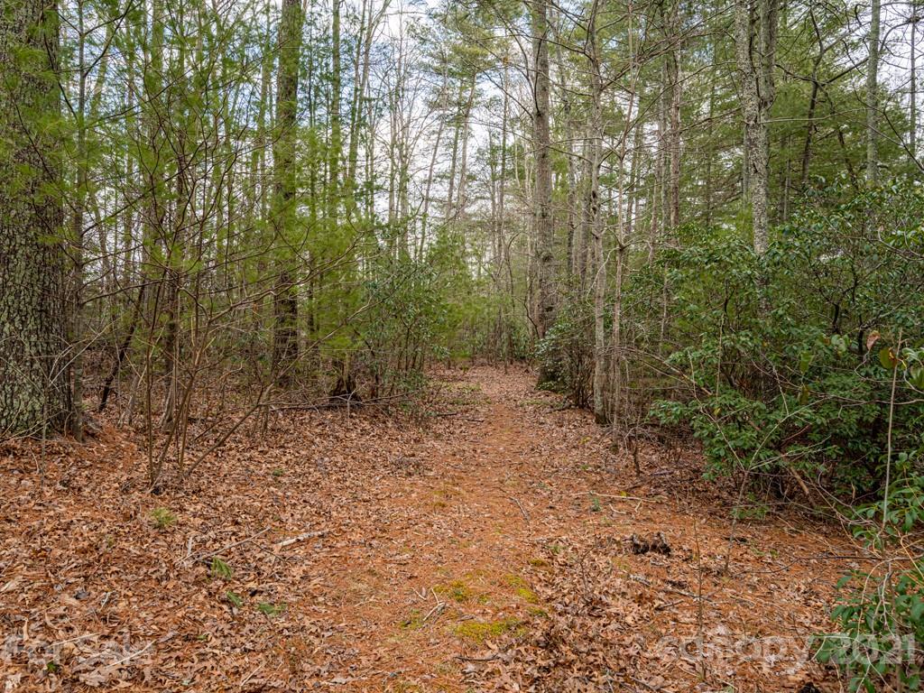 154 Joe Jenkins Road Fairview NC 28730