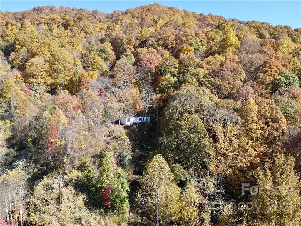 300 Robert Wilson Drive Marshall NC 28753