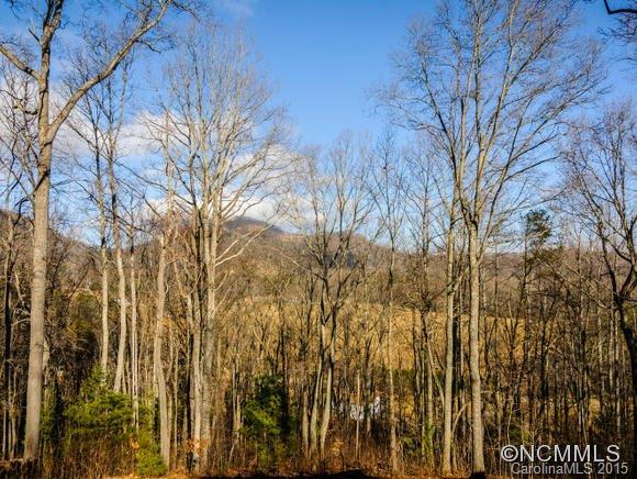 12 Howling Waite Ridge Candler NC 28715