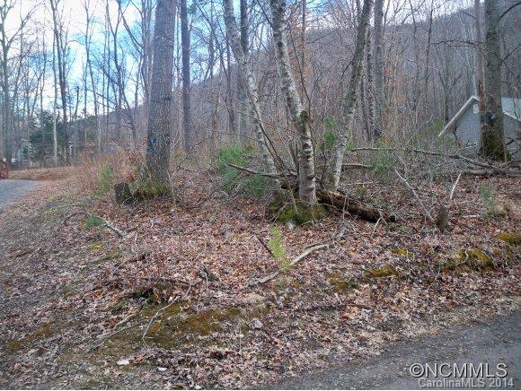 8 Blue Smoke Trail Swannanoa NC 28778