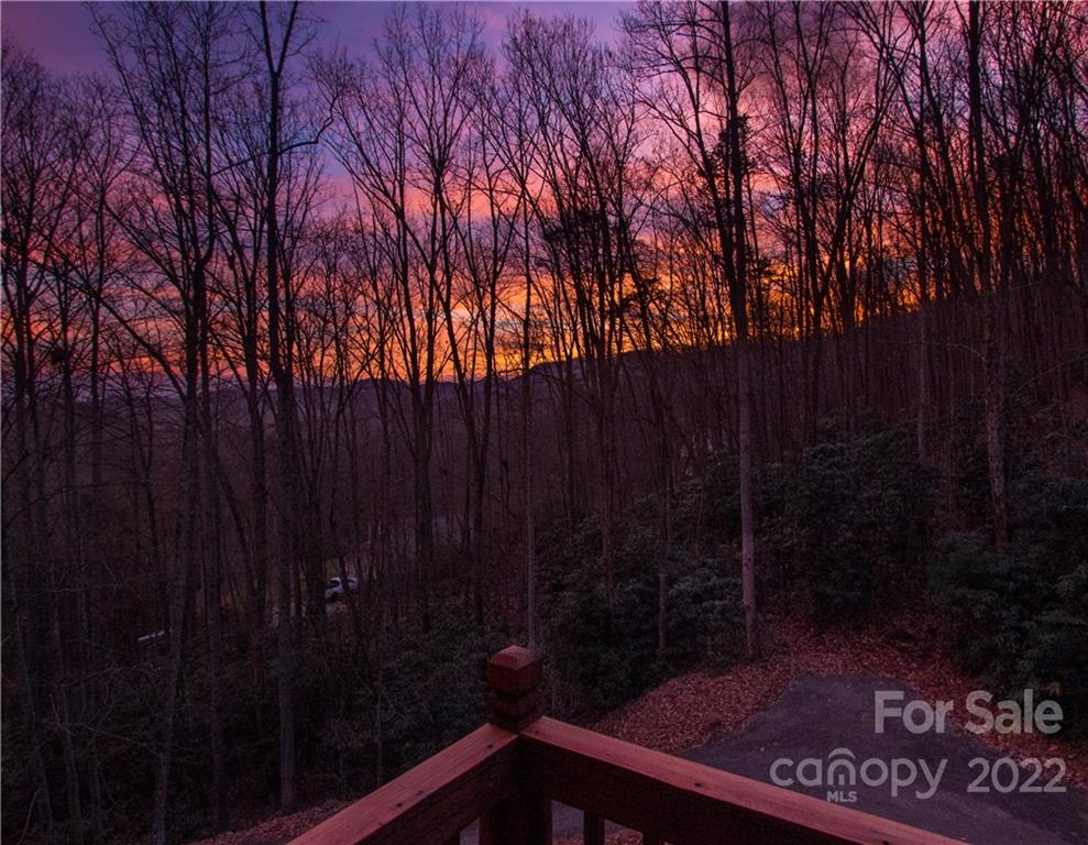 95 Audria Drive Candler NC 28715