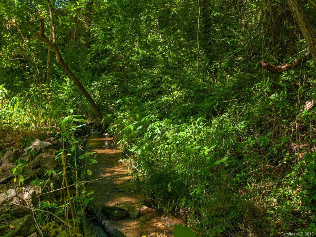12 Thompson Road Asheville NC 28806