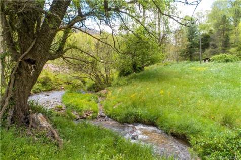 1383 Newfound Road Leicester NC 28748