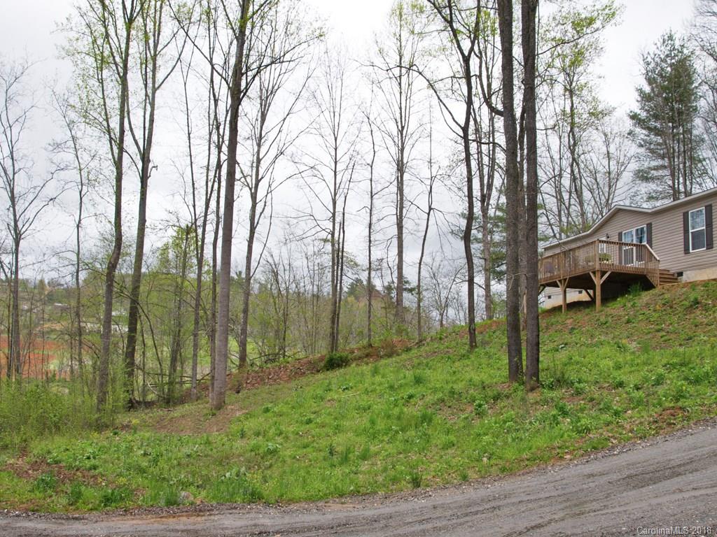 118 Peaceful Valley Drive Leicester NC 28748