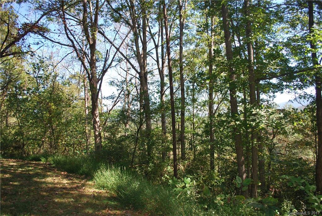 15 Grassy Ridge Road Asheville NC 28805