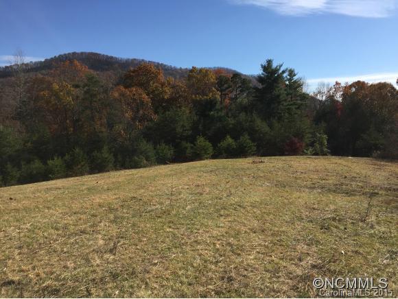89 Kerr Road Leicester NC 28748