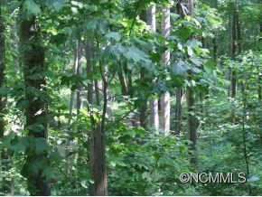 132 Silver Springs Road Burnsville NC 28714