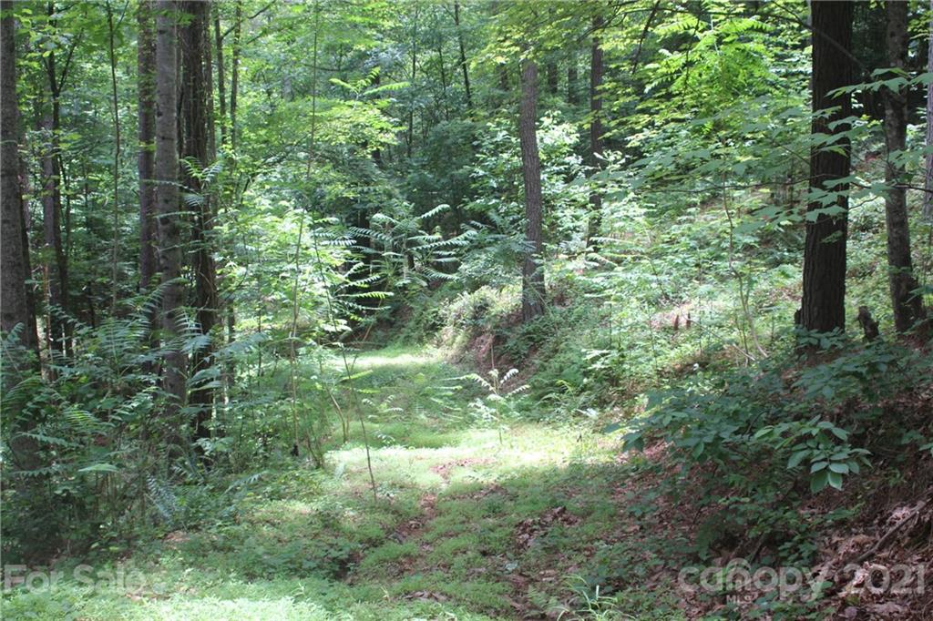 2202 Island View Lane NE Connelly Springs NC 28612