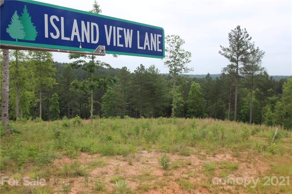 2202 Island View Lane NE Connelly Springs NC 28612