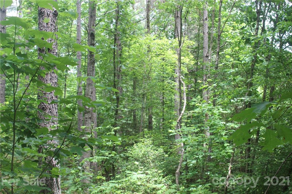 2202 Island View Lane NE Connelly Springs NC 28612