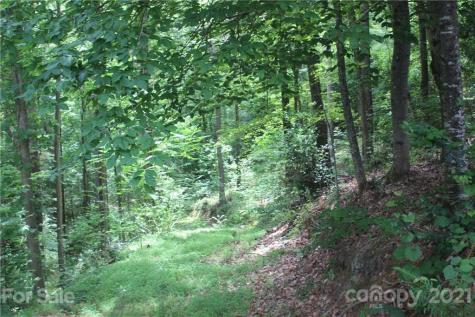 2202 Island View Lane NE Connelly Springs NC 28612