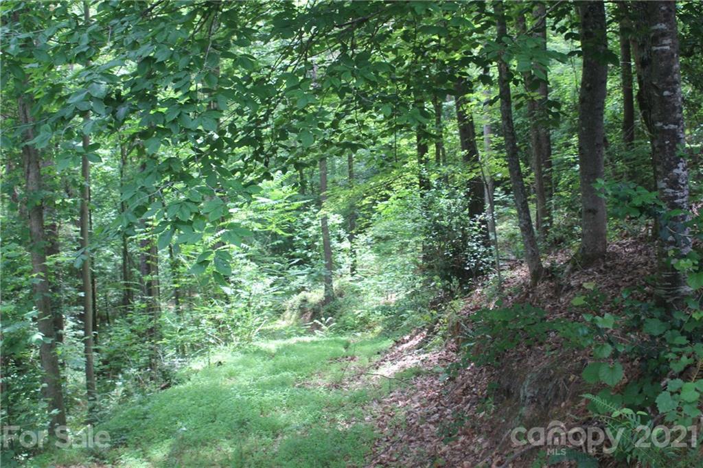 2202 Island View Lane NE Connelly Springs NC 28612