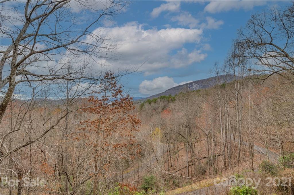279 Deerfield Drive Lake Lure NC 28746