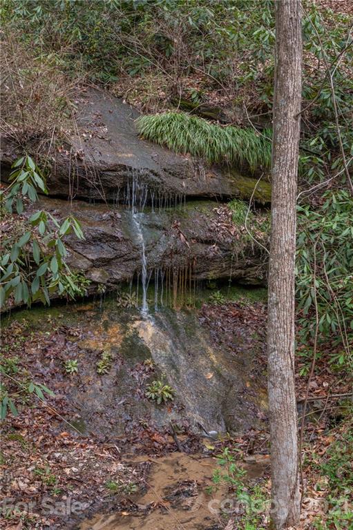279 Deerfield Drive Lake Lure NC 28746