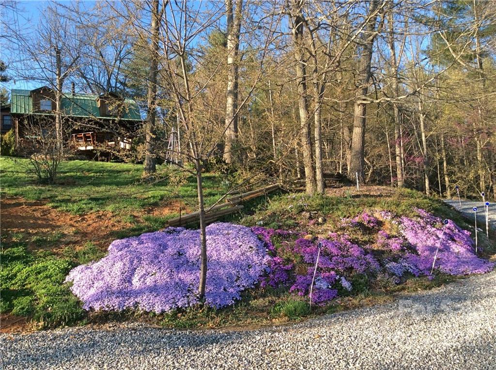 40 Chambers Drive Weaverville NC 28787