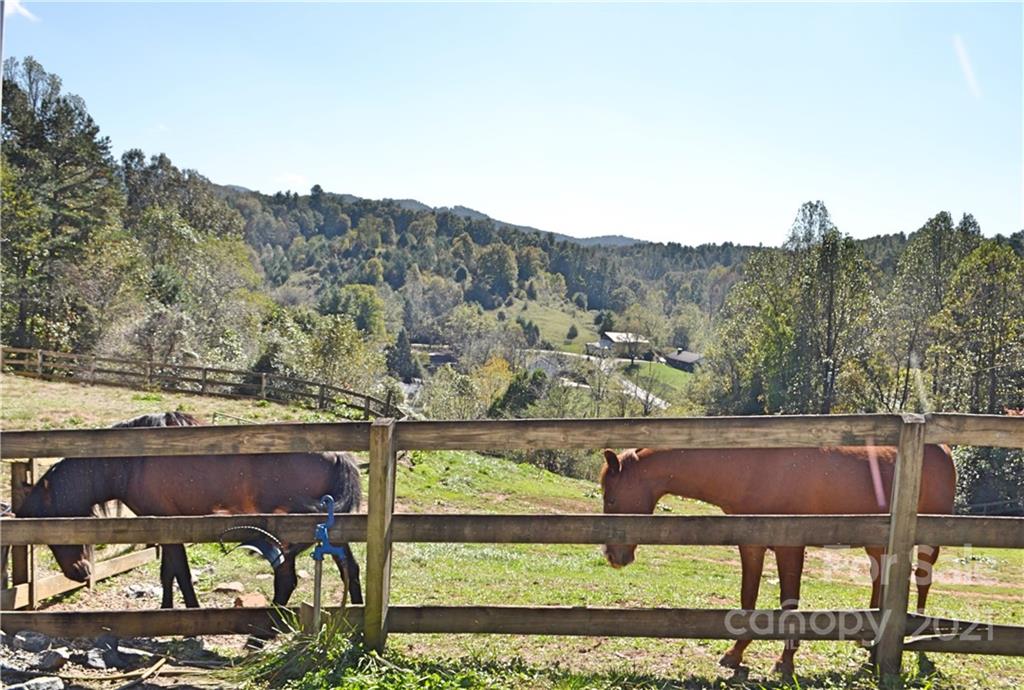 40 Chambers Drive Weaverville NC 28787