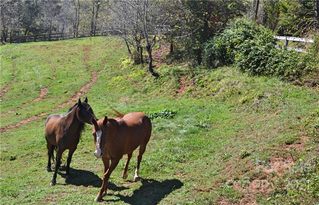 40 Chambers Drive Weaverville NC 28787