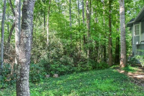 120 Coachmans Trail Asheville NC 28803