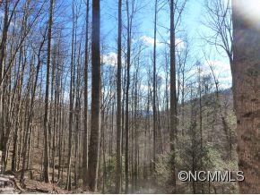 31 Black Oak Forest Road Fairview NC 28730