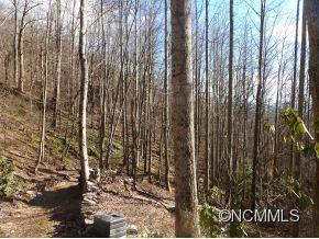 31 Black Oak Forest Road Fairview NC 28730