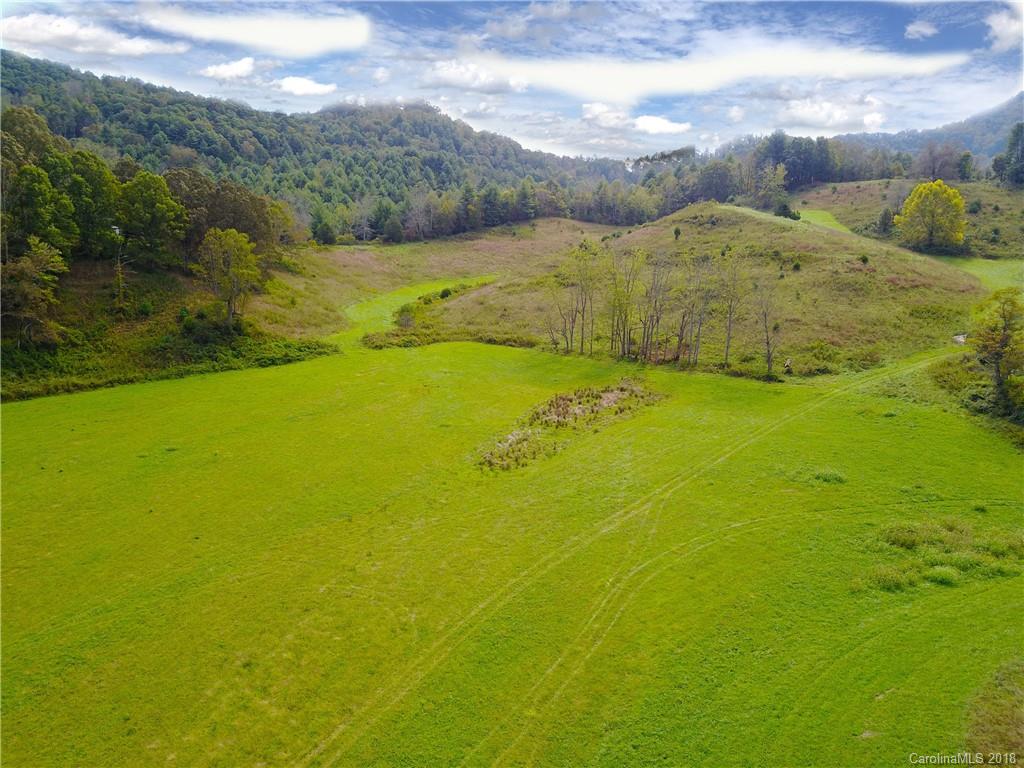 293 Sandy Mush Creek Road Leicester NC 28748