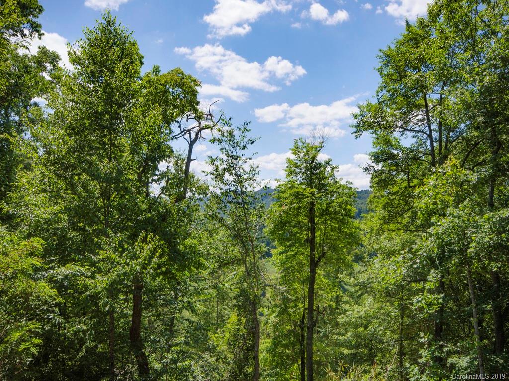 293 South Pinnacle Drive Burnsville NC 28714