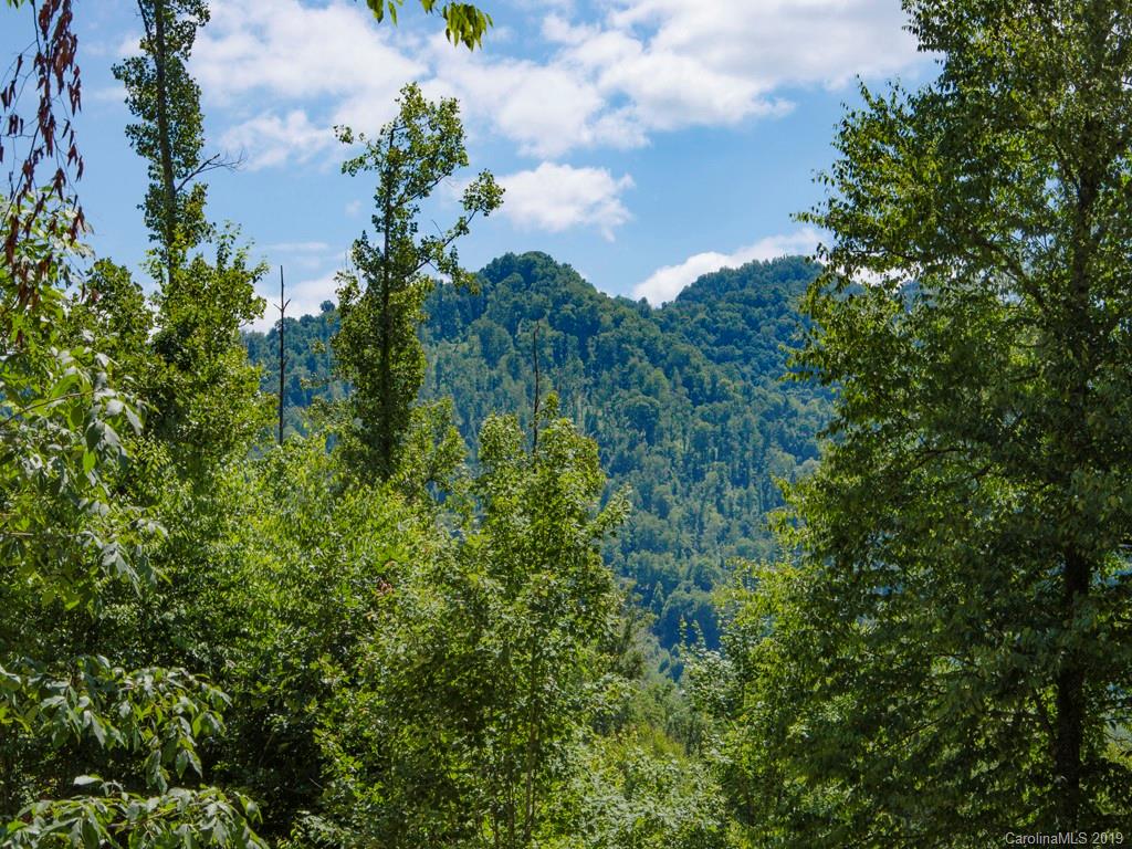 293 South Pinnacle Drive Burnsville NC 28714