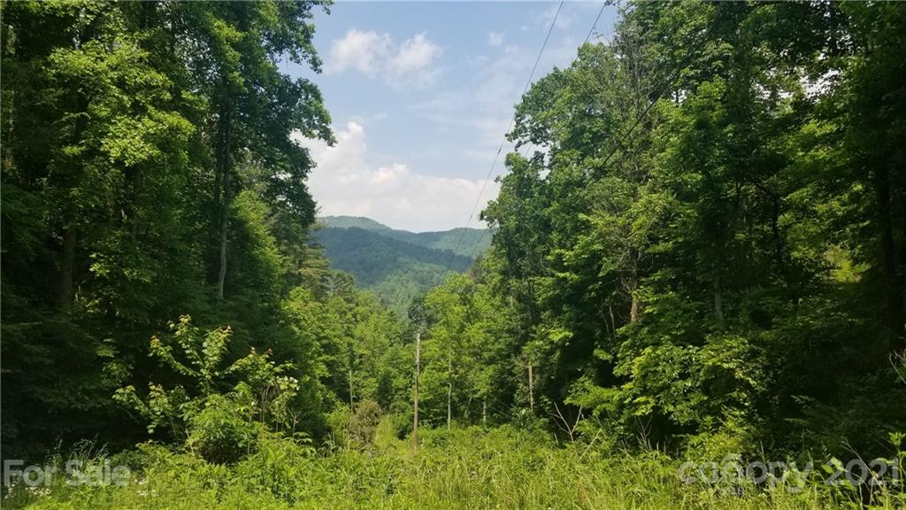 275 Horse Knob Drive Marshall NC 28753