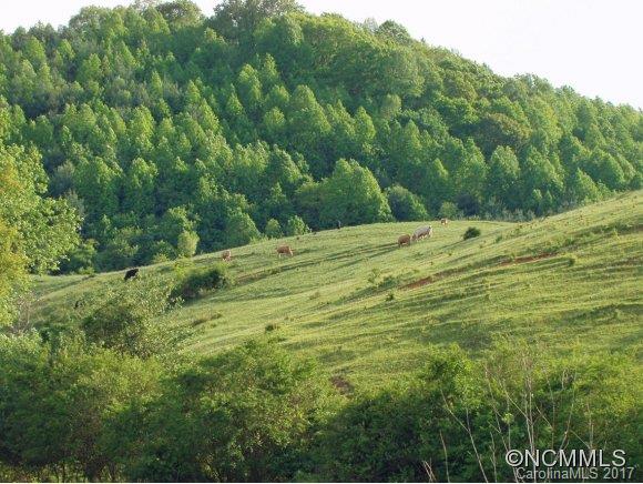 8761 Us 25 70 Highway Marshall NC 28753